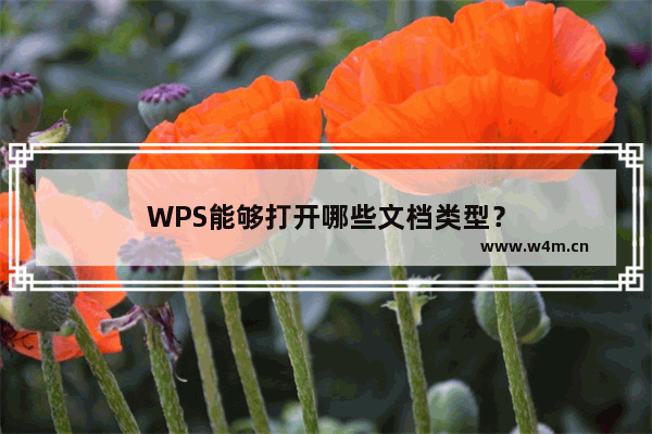 WPS能够打开哪些文档类型？