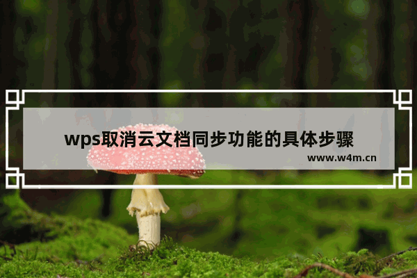 wps取消云文档同步功能的具体步骤