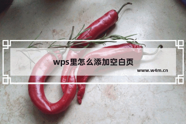 wps里怎么添加空白页