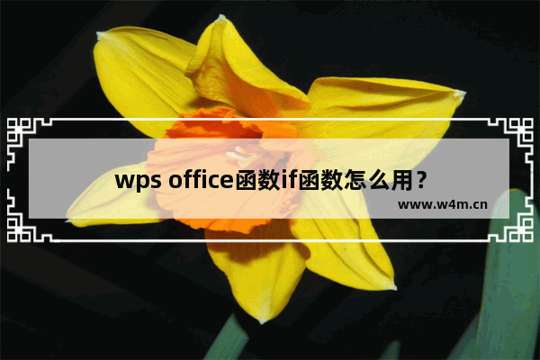 wps office函数if函数怎么用？