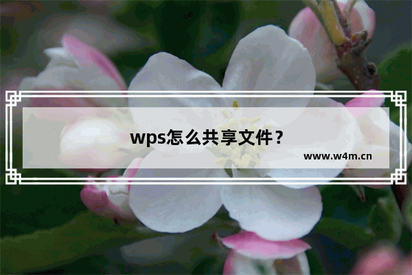 wps怎么共享文件？