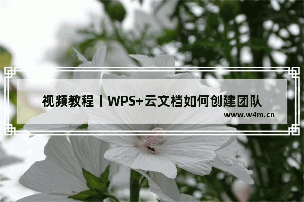 视频教程丨WPS+云文档如何创建团队