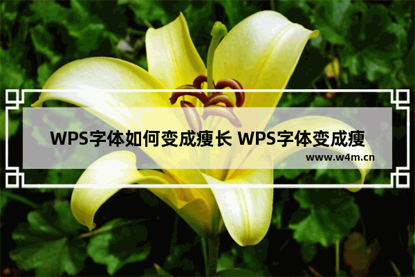 WPS字体如何变成瘦长 WPS字体变成瘦长的方法