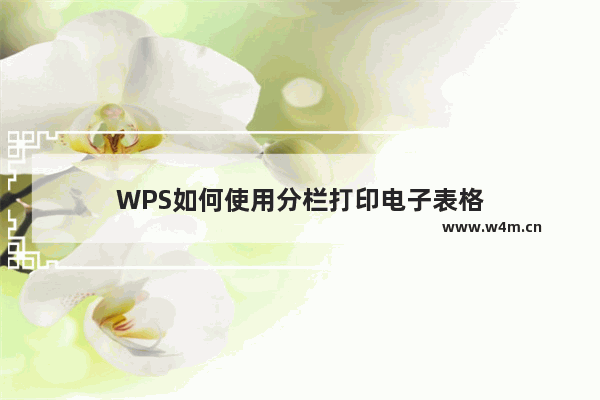 WPS如何使用分栏打印电子表格