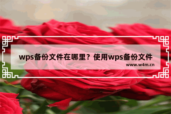 wps备份文件在哪里？使用wps备份文件的方法