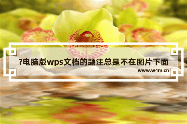 ?电脑版wps文档的题注总是不在图片下面怎么办