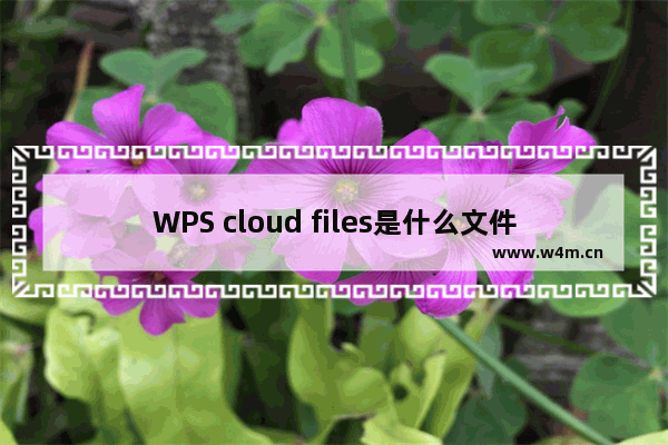 WPS cloud files是什么文件夹？wps cloud files可以删除吗？