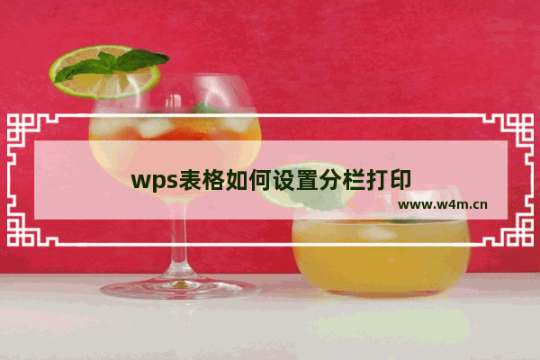 wps表格如何设置分栏打印