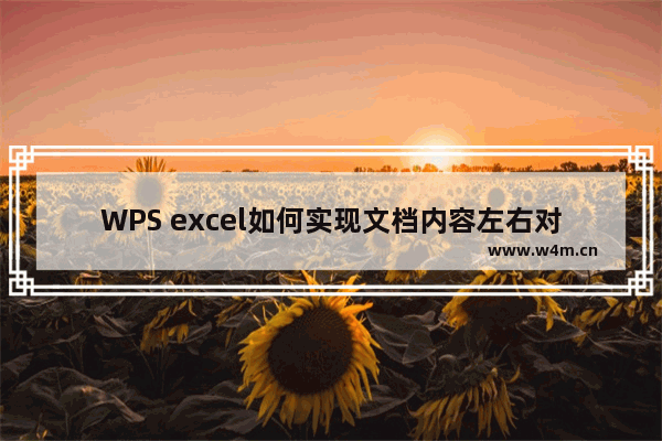 WPS excel如何实现文档内容左右对齐