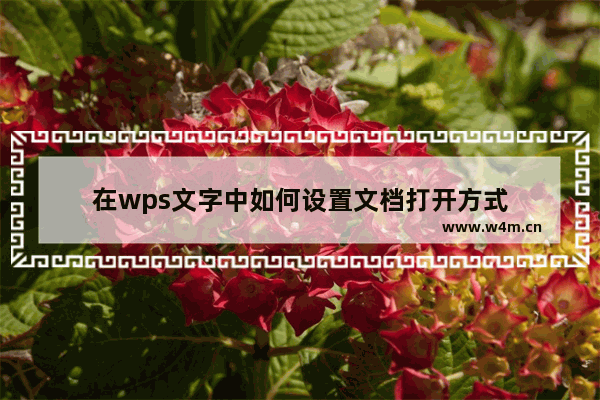 在wps文字中如何设置文档打开方式