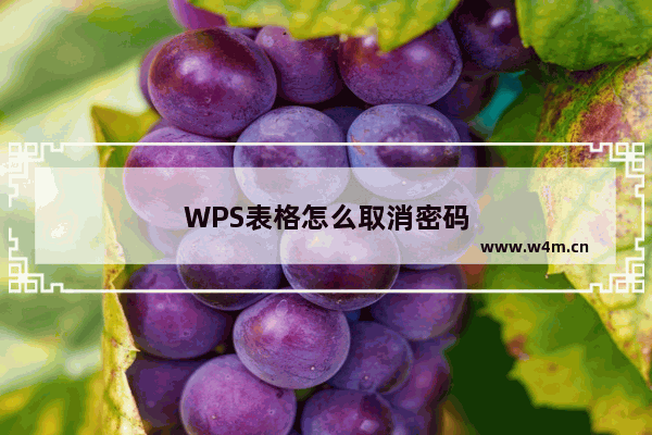 WPS表格怎么取消密码