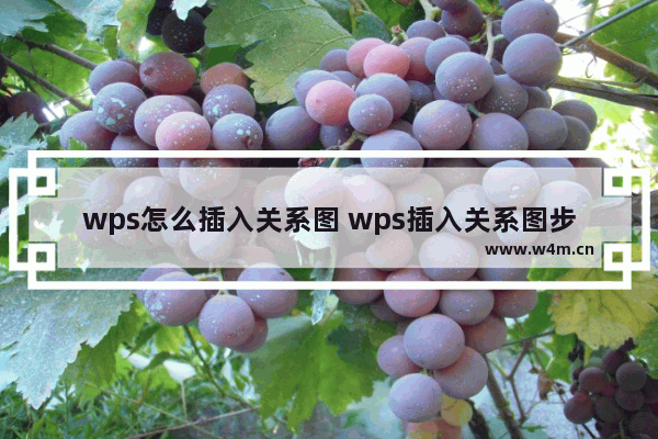 wps怎么插入关系图 wps插入关系图步骤