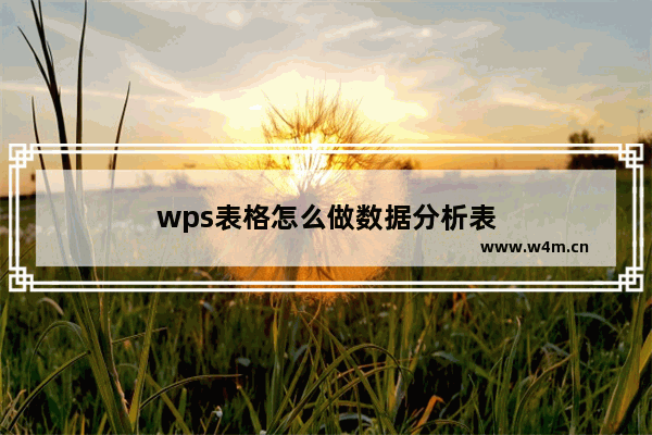 wps表格怎么做数据分析表