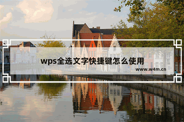 wps全选文字快捷键怎么使用