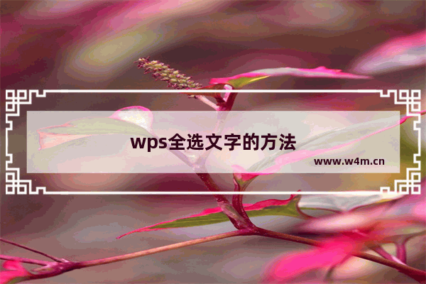 wps全选文字的方法