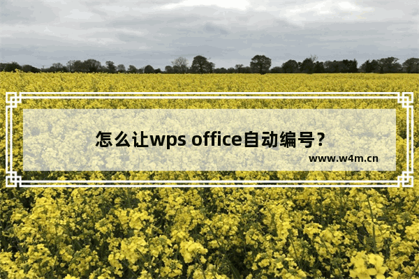 怎么让wps office自动编号？