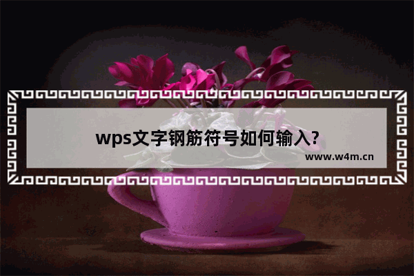 wps文字钢筋符号如何输入?