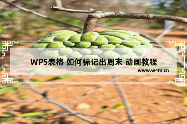 WPS表格 如何标记出周末 动画教程