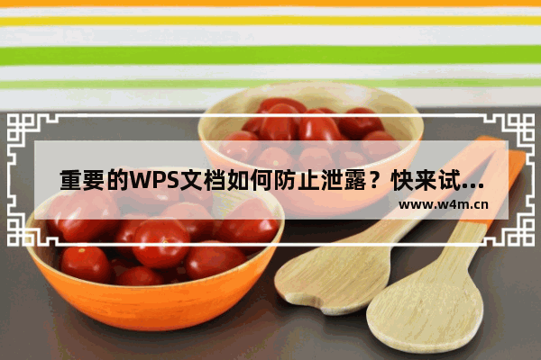 重要的WPS文档如何防止泄露？快来试试WPS自带的这个功能吧！