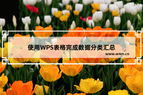 使用WPS表格完成数据分类汇总