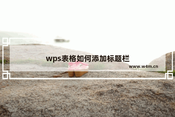 wps表格如何添加标题栏