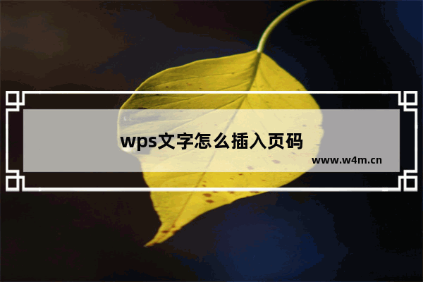 wps文字怎么插入页码