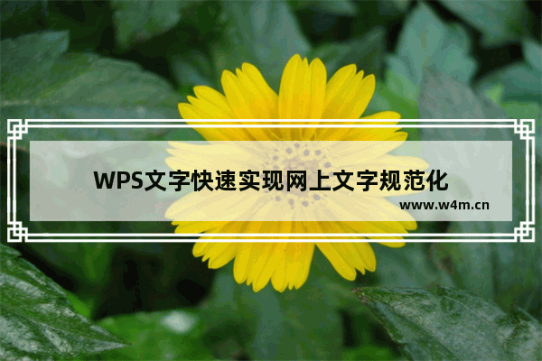 WPS文字快速实现网上文字规范化