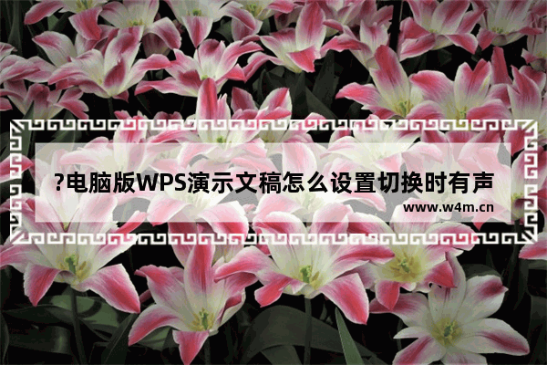 ?电脑版WPS演示文稿怎么设置切换时有声音