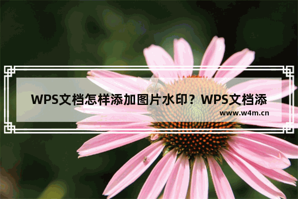 WPS文档怎样添加图片水印？WPS文档添加图片水印的方法