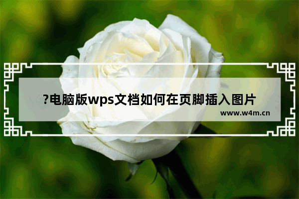 ?电脑版wps文档如何在页脚插入图片