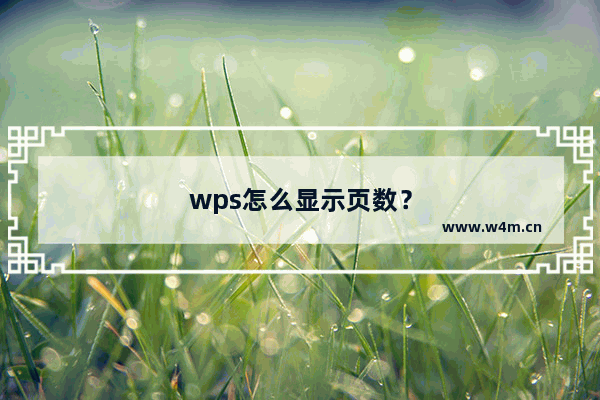 wps怎么显示页数？