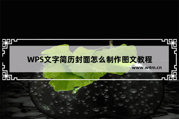 WPS文字简历封面怎么制作图文教程