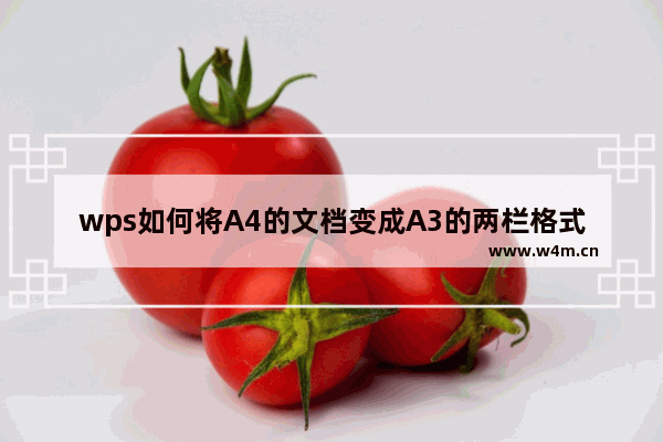 wps如何将A4的文档变成A3的两栏格式