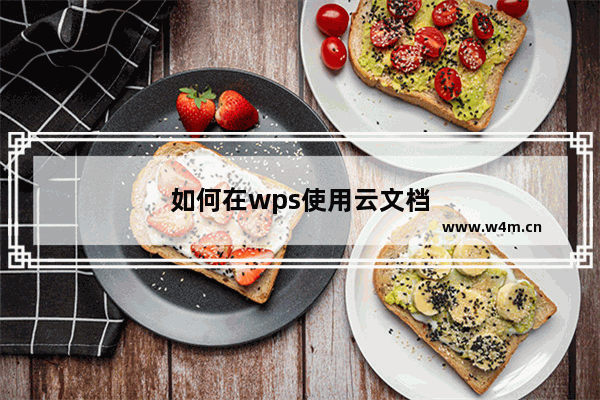 如何在wps使用云文档