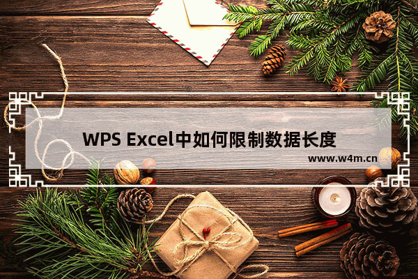 WPS Excel中如何限制数据长度