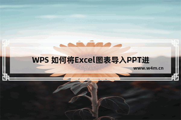 WPS 如何将Excel图表导入PPT进行展示