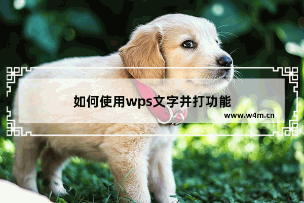 如何使用wps文字并打功能