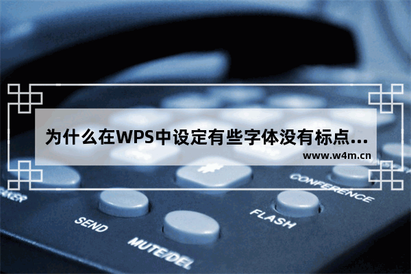 为什么在WPS中设定有些字体没有标点符号