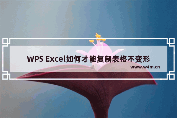 WPS Excel如何才能复制表格不变形