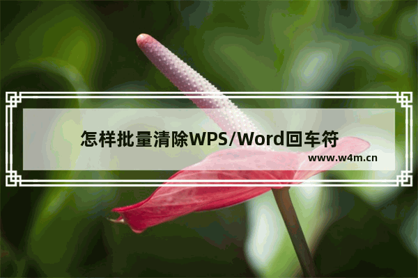 怎样批量清除WPS/Word回车符