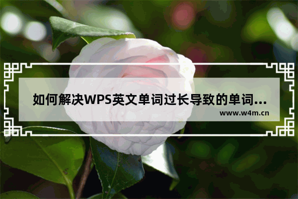 如何解决WPS英文单词过长导致的单词间距过大问题?怎么做