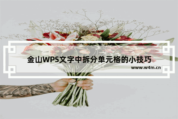 金山WPS文字中拆分单元格的小技巧