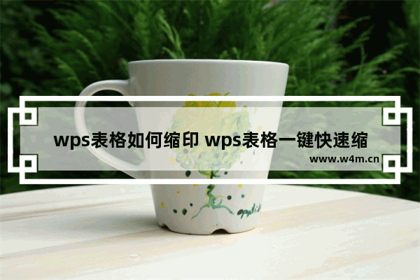 wps表格如何缩印 wps表格一键快速缩印方法教程