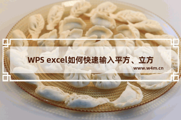 WPS excel如何快速输入平方、立方米