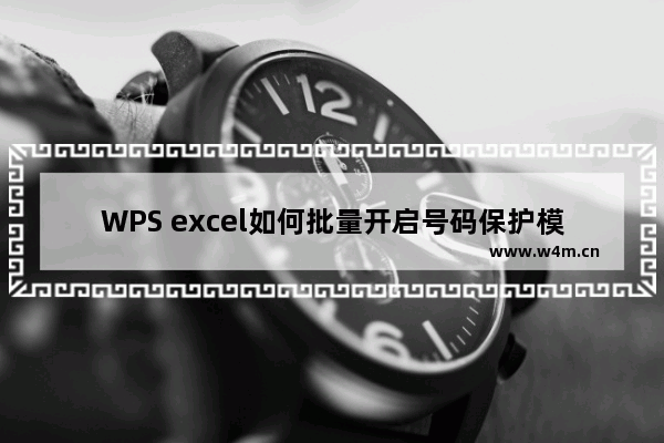 WPS excel如何批量开启号码保护模式？