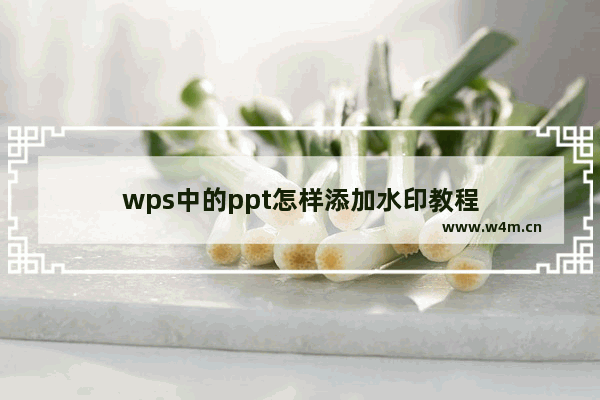 wps中的ppt怎样添加水印教程