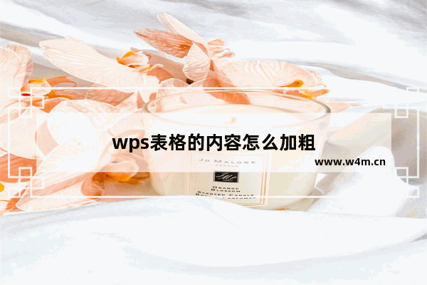 wps表格的内容怎么加粗