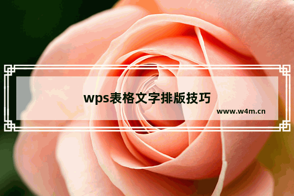 wps表格文字排版技巧