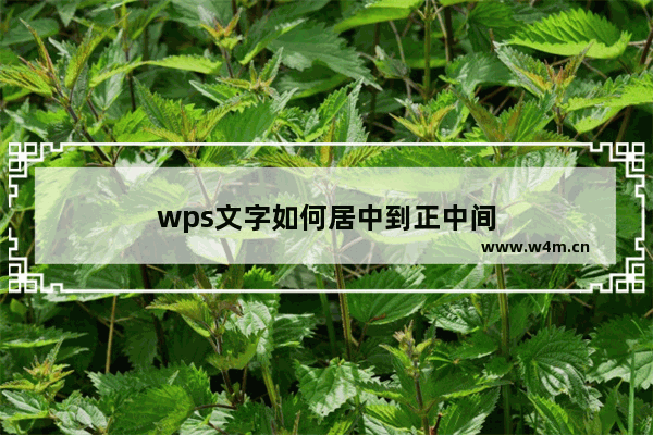 wps文字如何居中到正中间