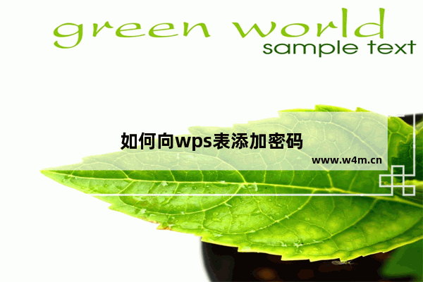 如何向wps表添加密码